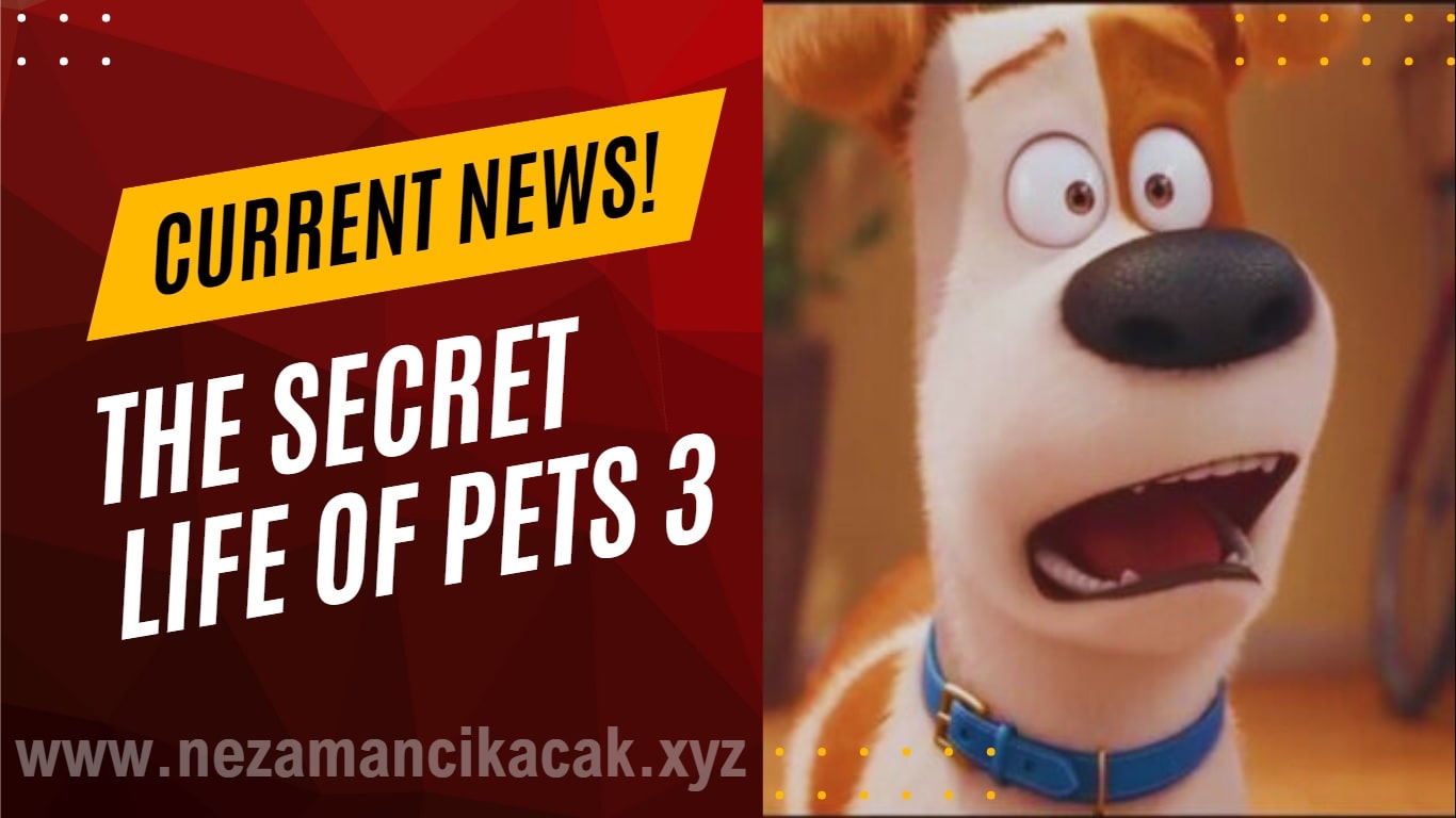 Pets 3 movie film