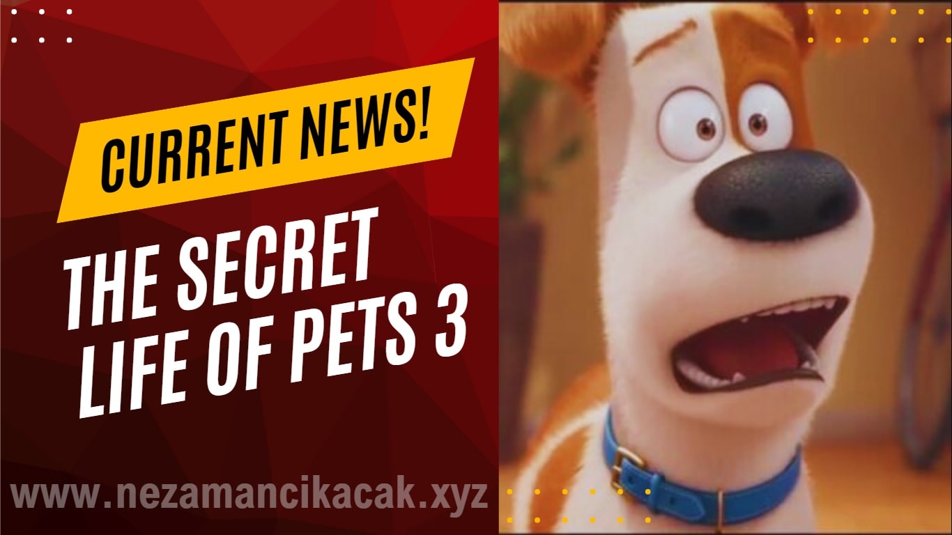 The Secret Life of Pets 3 movie film